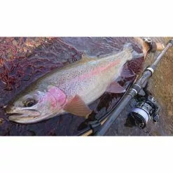 Tailwalk Outback Beyond Teleskopstang 8 Tailwalk Outback Beyond Teleskopstang -Fiskesneller Butikk p 2013 100004 M slideshow 3