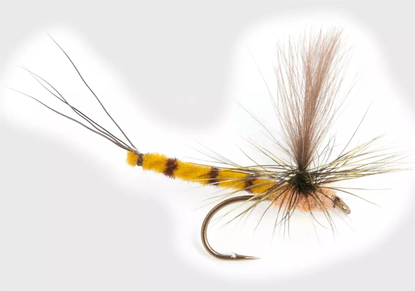 Guideline Vulgata Dun #10 3 Guideline Vulgata Dun #10